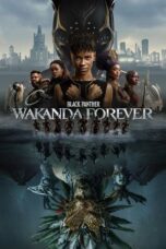 Nonton Film Black Panther: Wakanda Forever (2022) NONTONDULU