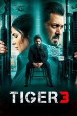 Nonton Film Tiger 3 (2023) NONTONDULU