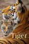 Nonton Film Tiger (2024) NONTONDULU Nonton Film Tiger (2024) NONTONDULU