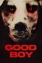 Nonton Film Good Boy (2022) NONTONDULU Nonton Film Good Boy (2022) NONTONDULU