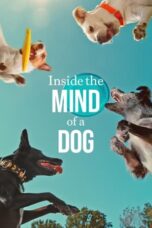 Nonton Film Inside the Mind of a Dog (2024) NONTONDULU