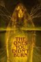 Nonton Film The Ones You Didn’t Burn (2022) NONTONDULU Nonton Film The Ones You Didn’t Burn (2022) NONTONDULU