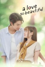 Nonton Film A Love So Beautiful (2024) NONTONDULU