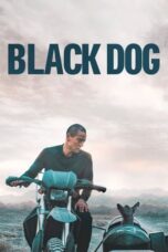 Nonton Film Black Dog (2024) NONTONDULU