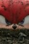 Nonton Film Knuckles Season 1 Episode 1 NONTONDULU Nonton Film Knuckles Season 1 Episode 1 NONTONDULU
