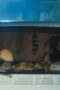 Nonton Film Where’s Wanda? Season 1 Episode 7 NONTONDULU Nonton Film Where’s Wanda? Season 1 Episode 7 NONTONDULU