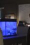 Nonton Film Siren Season 1 Episode 7 NONTONDULU Nonton Film Siren Season 1 Episode 7 NONTONDULU