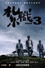 Nonton Film Triad 3 (2024) NONTONDULU