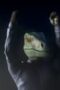 Nonton Film Jurassic World: Chaos Theory Season 2 Episode 4 NONTONDULU Nonton Film Jurassic World: Chaos Theory Season 2 Episode 4 NONTONDULU