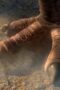 Nonton Film Jurassic World: Chaos Theory Season 1 Episode 4 NONTONDULU Nonton Film Jurassic World: Chaos Theory Season 1 Episode 4 NONTONDULU