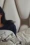 Nonton Film The Recruit Season 2 Episode 3 NONTONDULU Nonton Film The Recruit Season 2 Episode 3 NONTONDULU