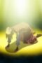 Nonton Film Arifureta: From Commonplace to World’s Strongest Season 3 Episode 5 NONTONDULU Nonton Film Arifureta: From Commonplace to World’s Strongest Season 3 Episode 5 NONTONDULU