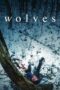 Nonton Film Wolves (2022) NONTONDULU Nonton Film Wolves (2022) NONTONDULU