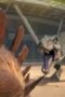 Nonton Film Jurassic World Camp Cretaceous Season 4 Episode 7 NONTONDULU Nonton Film Jurassic World Camp Cretaceous Season 4 Episode 7 NONTONDULU