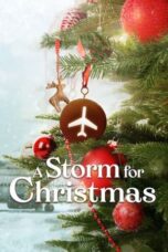 Nonton Film A Storm for Christmas (2022) NONTONDULU
