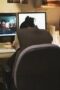 Nonton Film The Witch Season 1 Episode 9 NONTONDULU Nonton Film The Witch Season 1 Episode 9 NONTONDULU