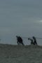 Nonton Film The Terror Season 1 Episode 10 NONTONDULU Nonton Film The Terror Season 1 Episode 10 NONTONDULU