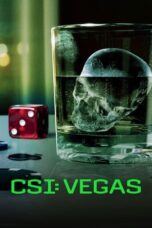 Nonton Film CSI: Vegas (2021-2022) NONTONDULU