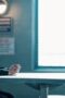 Nonton Film Wilderness Season 1 Episode 6 NONTONDULU Nonton Film Wilderness Season 1 Episode 6 NONTONDULU