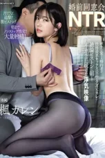 Nonton Film IPZZ-308 Tunanganku Tercinta Selingkuh dengan Mantan Pacarku – Karen Kaede NONTONDULU