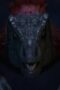 Nonton Film Jurassic World: Chaos Theory Season 3 Episode 4 NONTONDULU Nonton Film Jurassic World: Chaos Theory Season 3 Episode 4 NONTONDULU