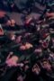 Nonton Film Risqué Business: The Netherlands and Germany Season 1 Episode 4 NONTONDULU Nonton Film Risqué Business: The Netherlands and Germany Season 1 Episode 4 NONTONDULU